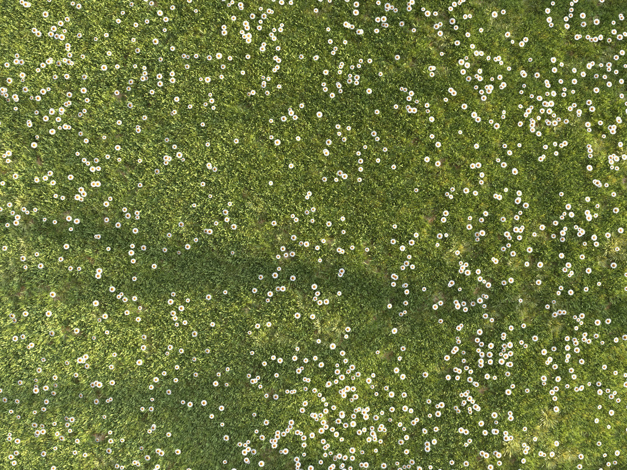 Four seasons grass 3D model_10