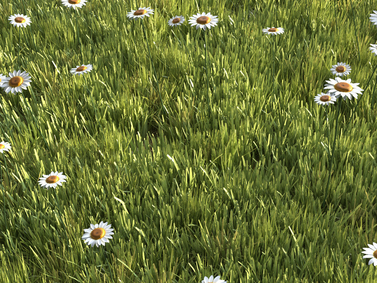 Four seasons grass 3D model_9