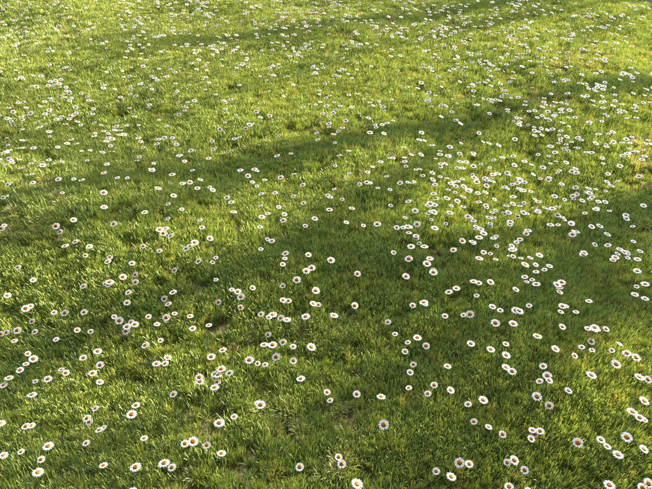 Four seasons grass 3D model_16