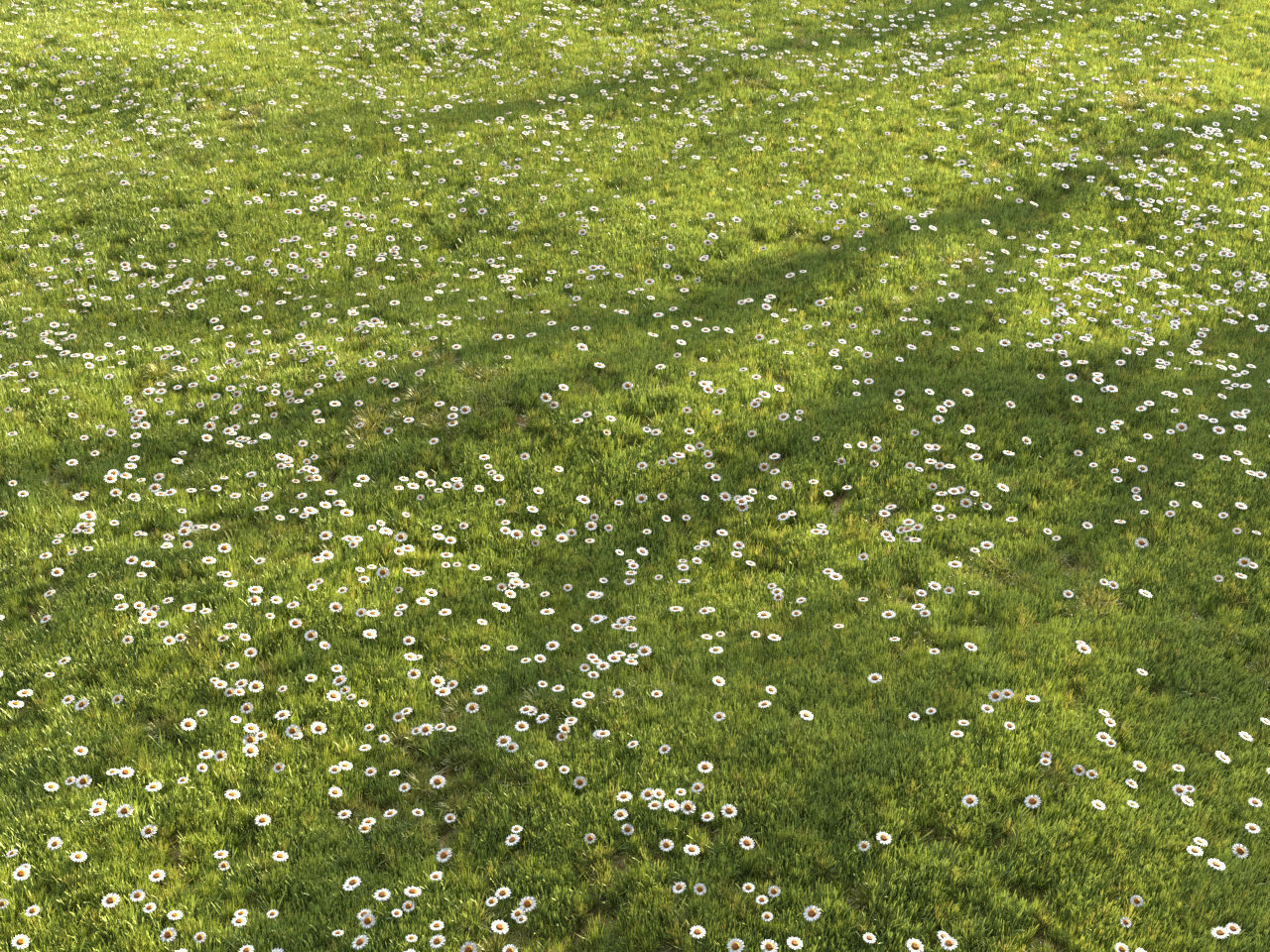 Four seasons grass 3D model_15