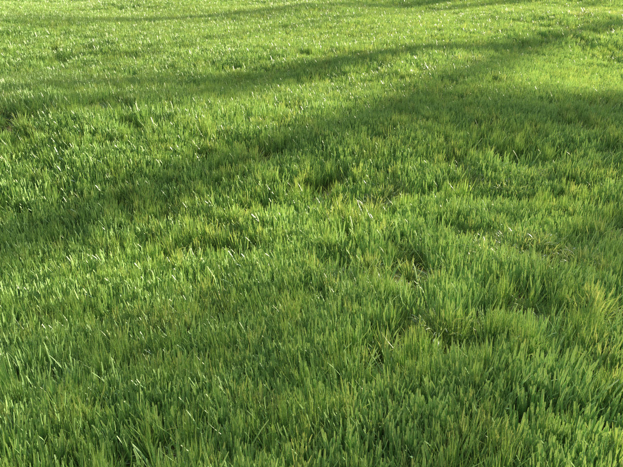 Four seasons grass 3D model_12