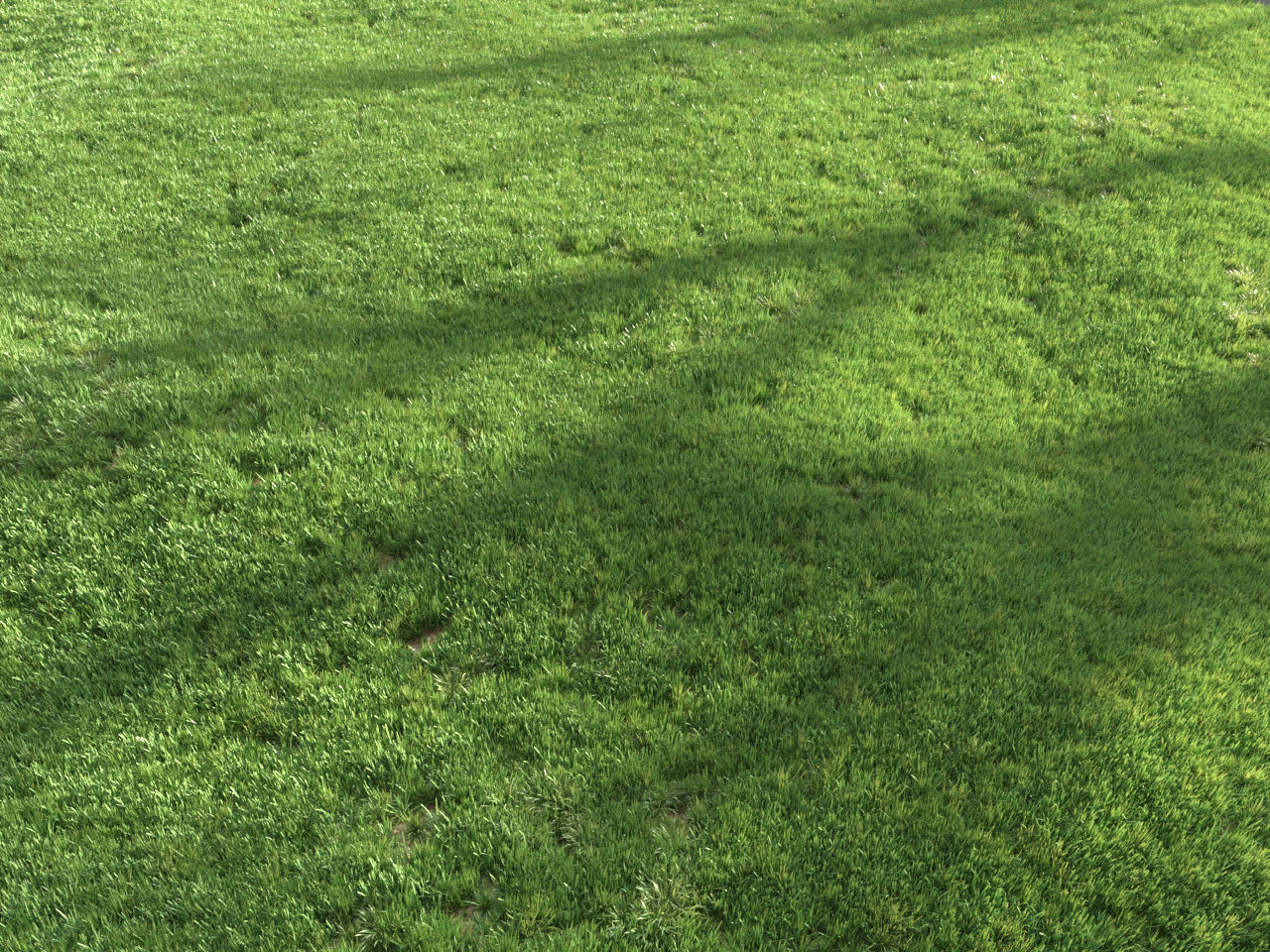 Four seasons grass 3D model_1