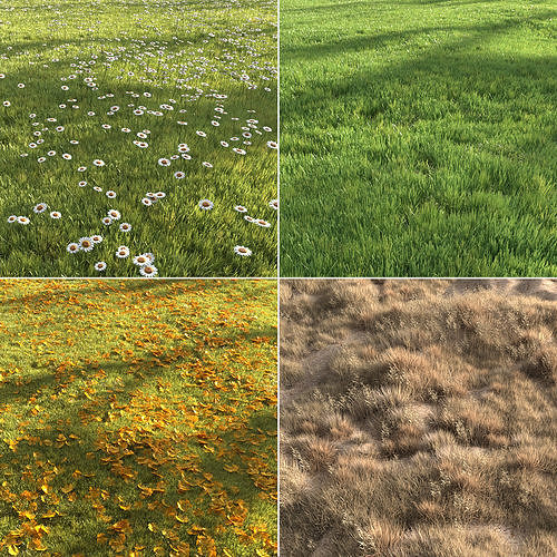 Four seasons grass 3D model
