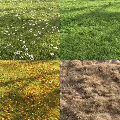 Four seasons grass 3D model