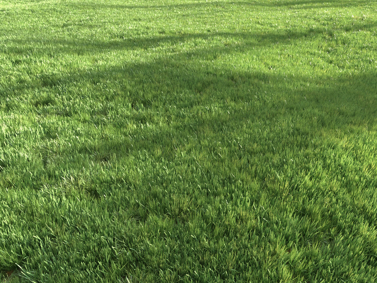 Four seasons grass 3D model_2