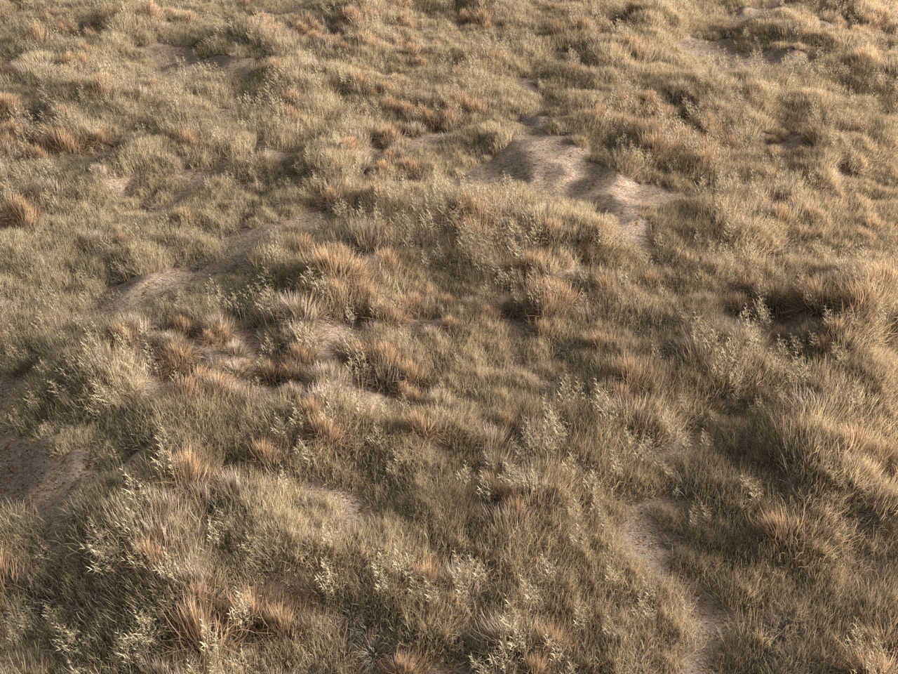 Four seasons grass 3D model_3