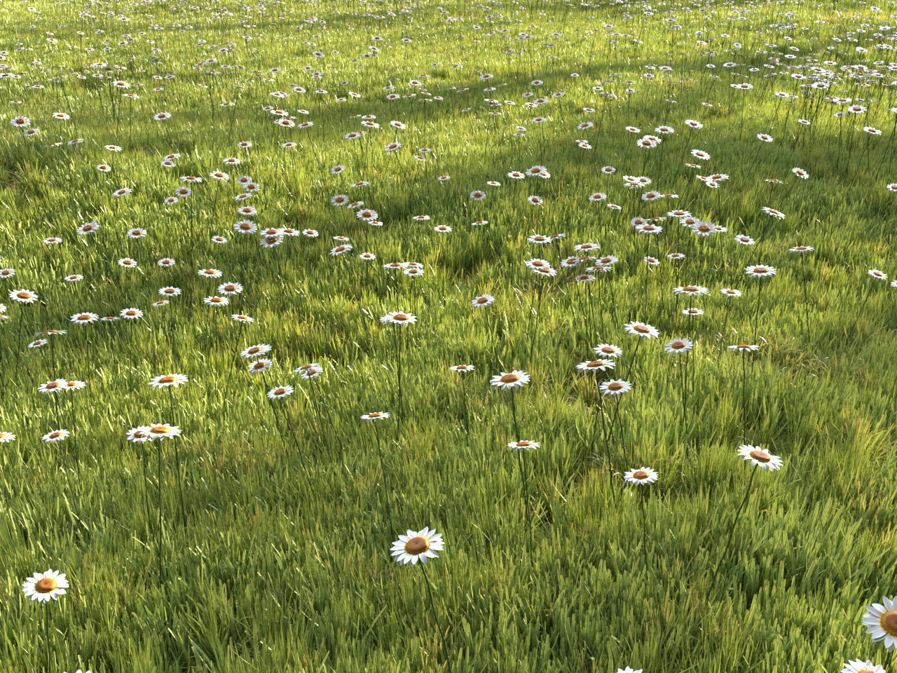 Four seasons grass 3D model_6