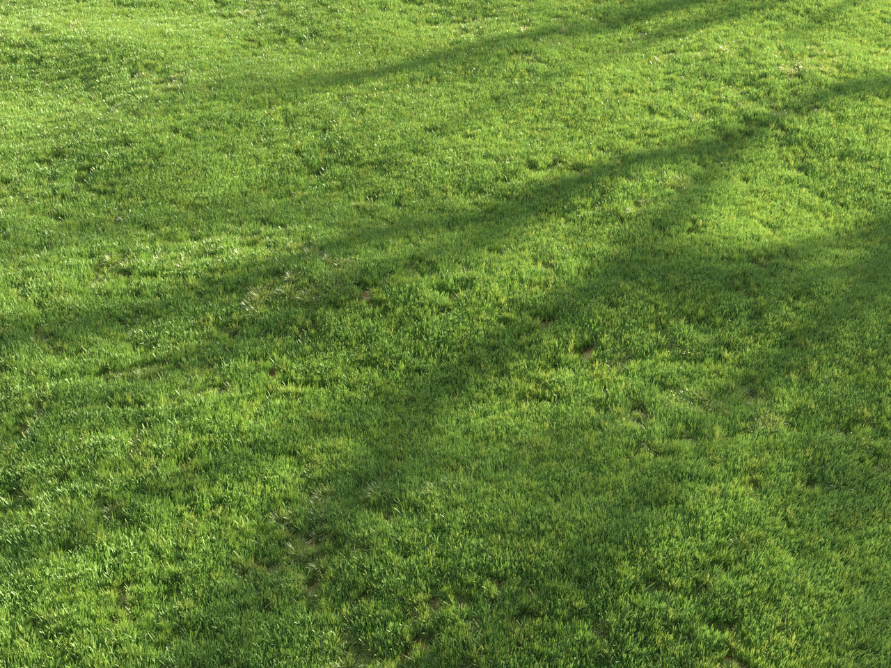 Four seasons grass 3D model_19