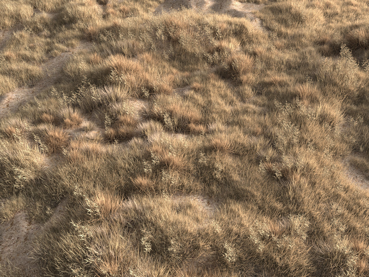 Four seasons grass 3D model_14