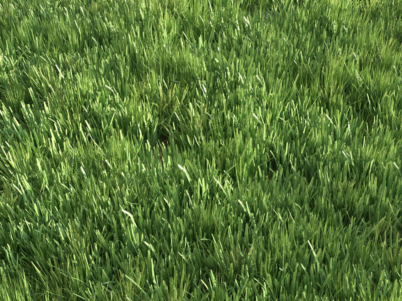 Four seasons grass 3D model_11