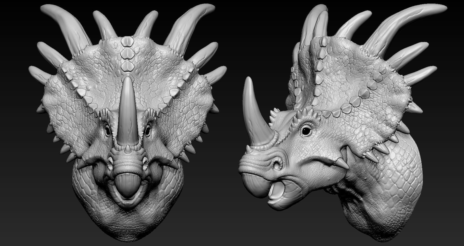 Triceratops Head 3D print model_5