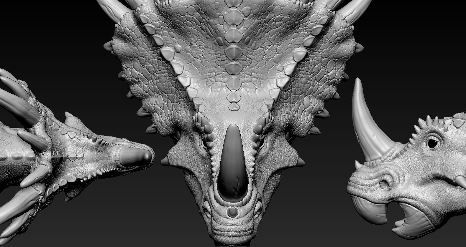Triceratops Head 3D print model_3