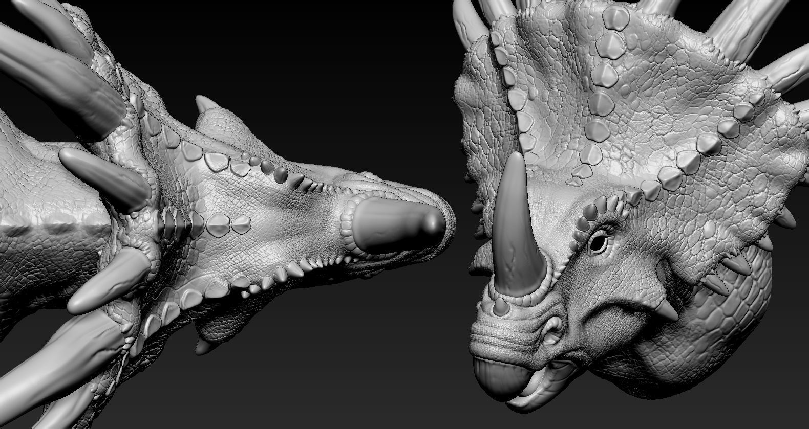 Triceratops Head 3D print model_10