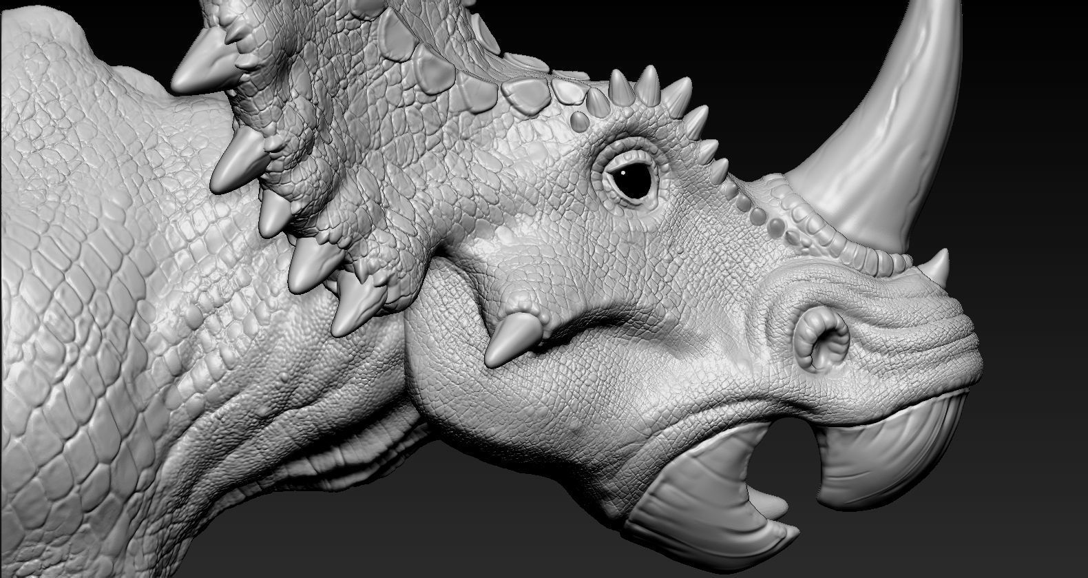 Triceratops Head 3D print model_11