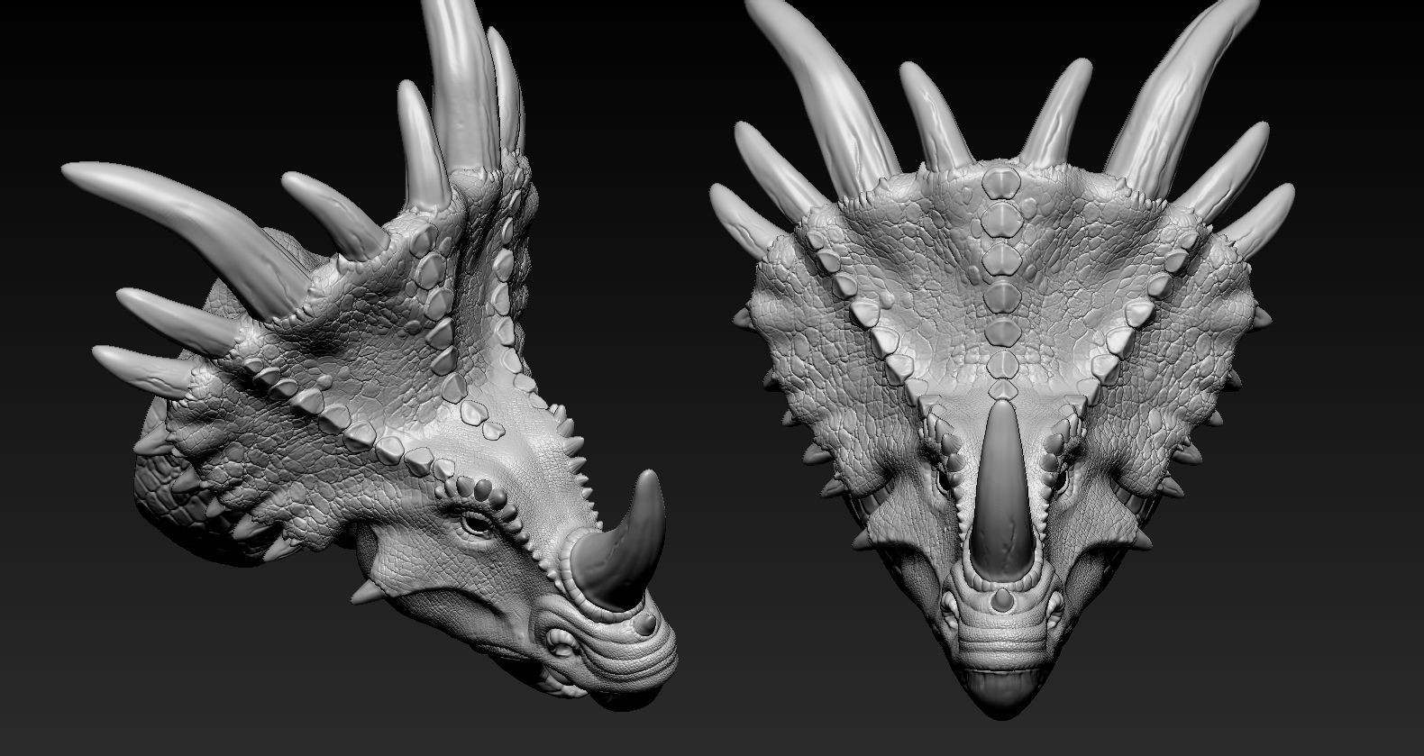 Triceratops Head 3D print model_9