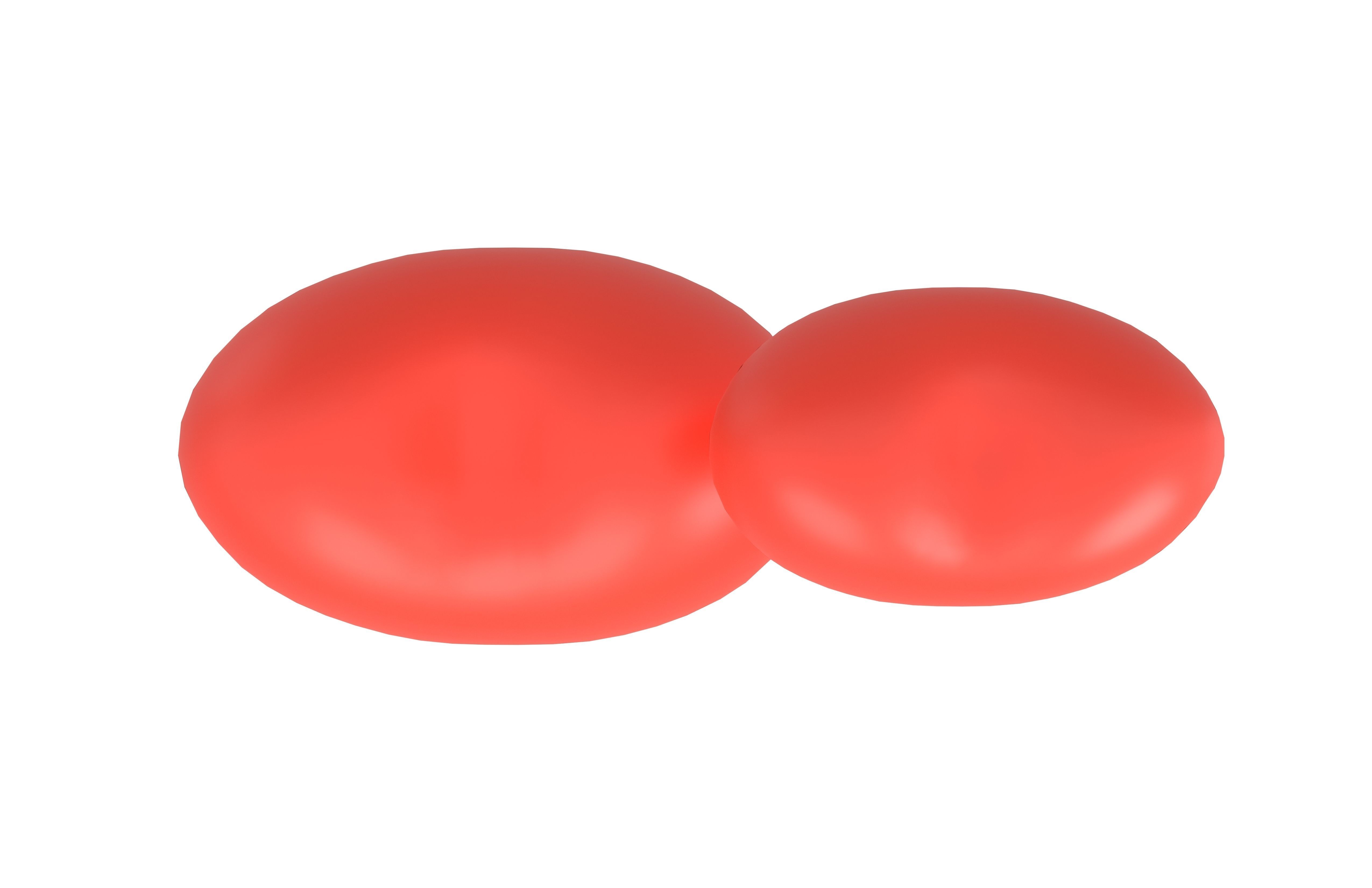 Two Hearts v1 010 Low-poly 3D model_4