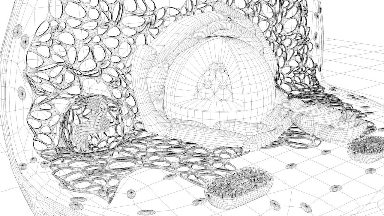 Animal Cell 3D model_11