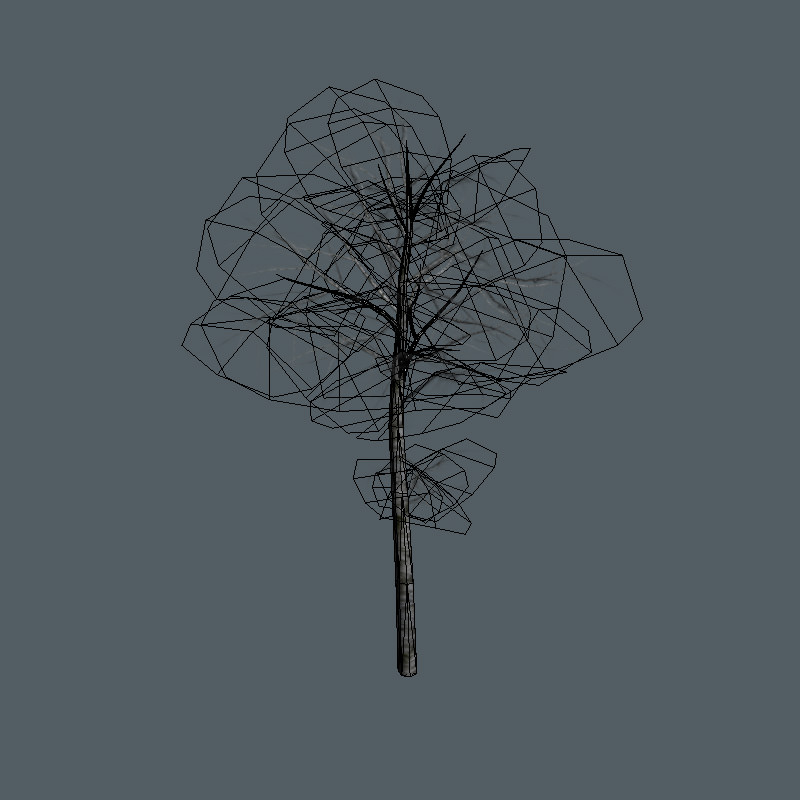 16 Birch Trees for Games 3D model_7