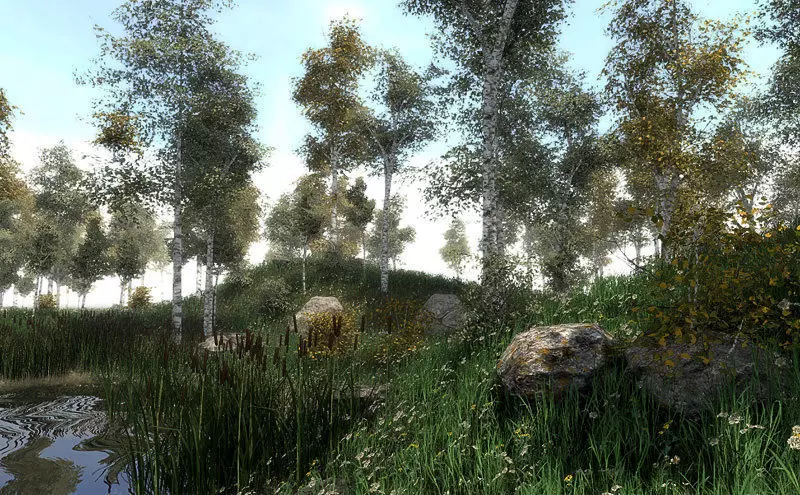 16 Birch Trees for Games 3D model_0