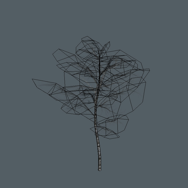 16 Birch Trees for Games 3D model_5