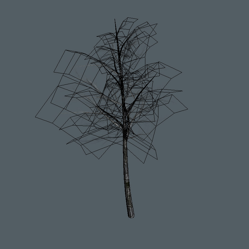 16 Birch Trees for Games 3D model_11