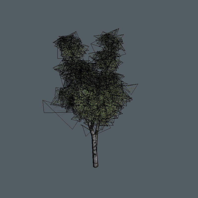 16 Birch Trees for Games 3D model_13
