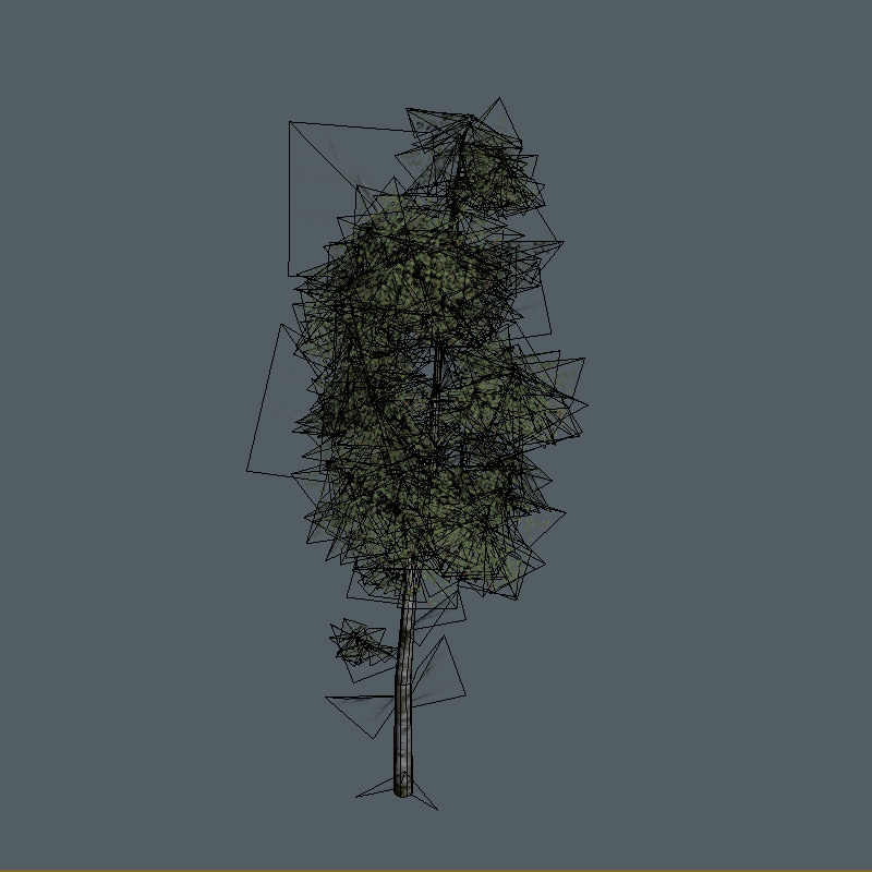 16 Birch Trees for Games 3D model_17