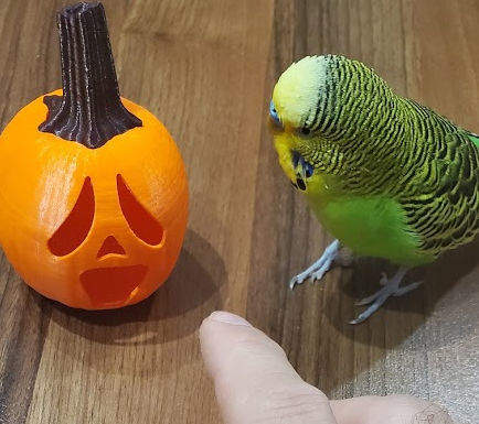 Pumpkin Lantern 01 Jack-O-Lantern 3D print model 3D print model_2