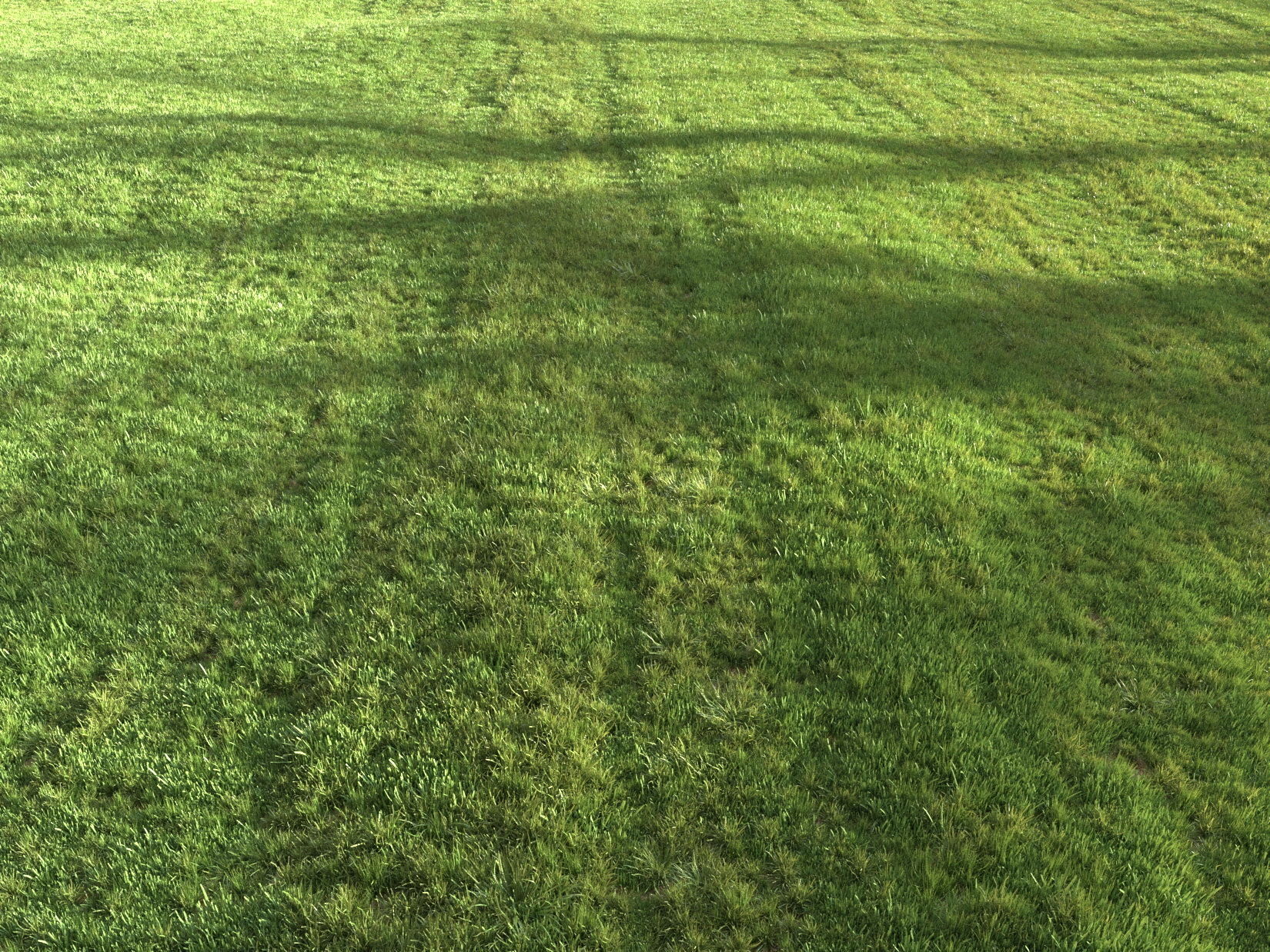 Summer grass 3D model_4