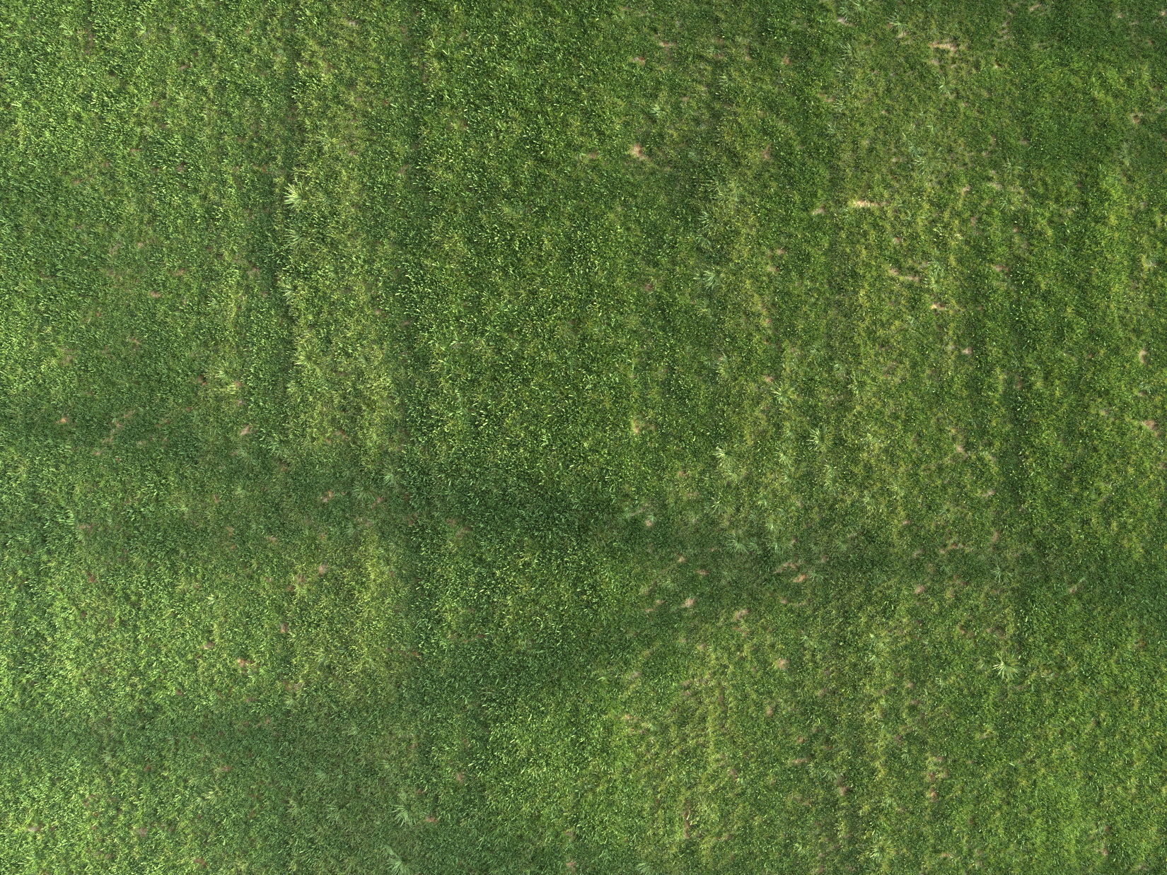 Summer grass 3D model_7