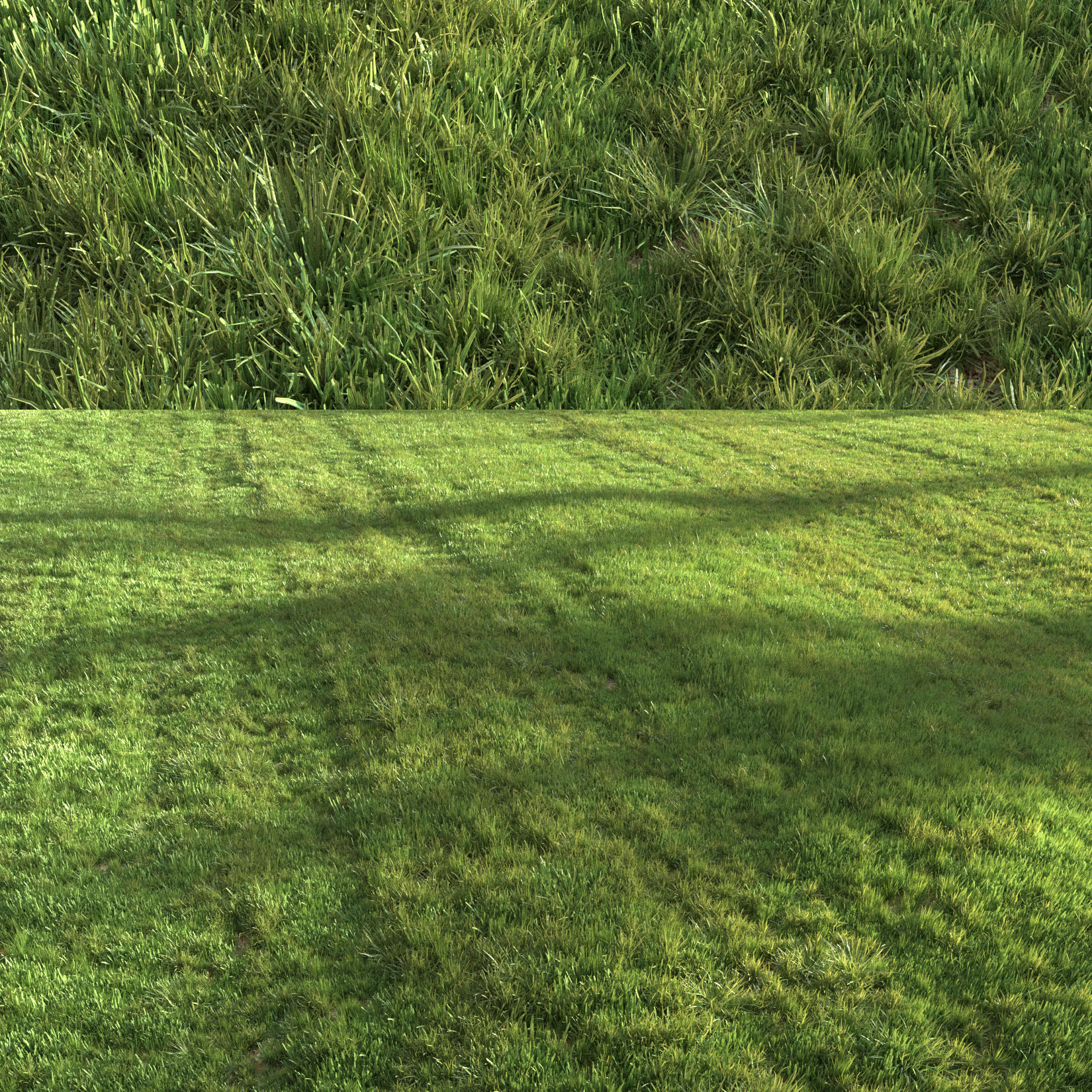 Summer grass 3D model_5