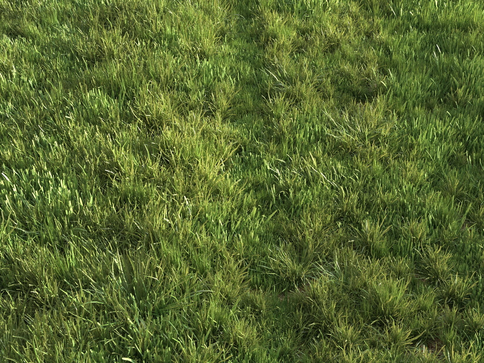 Summer grass 3D model_10