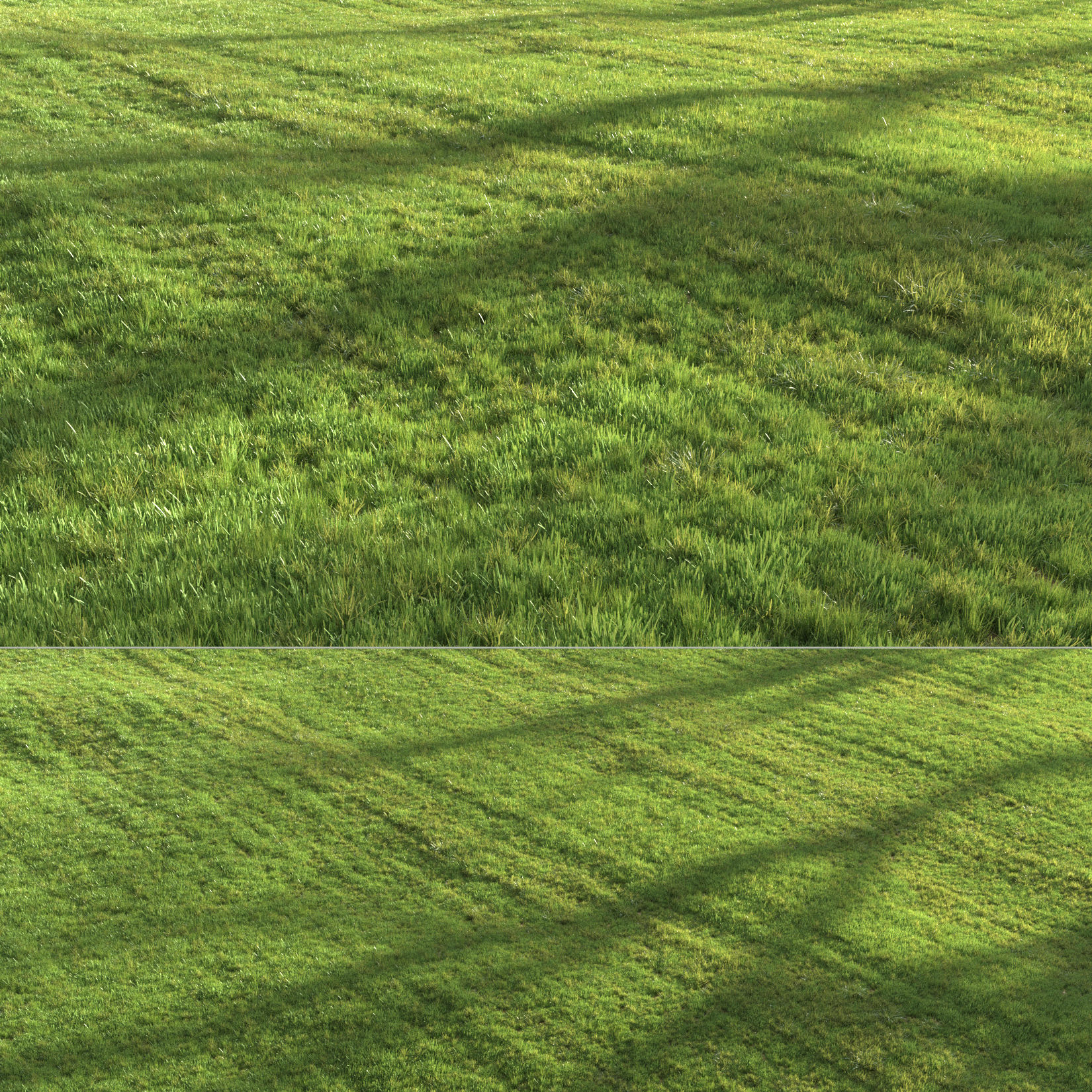 Summer grass 3D model_9