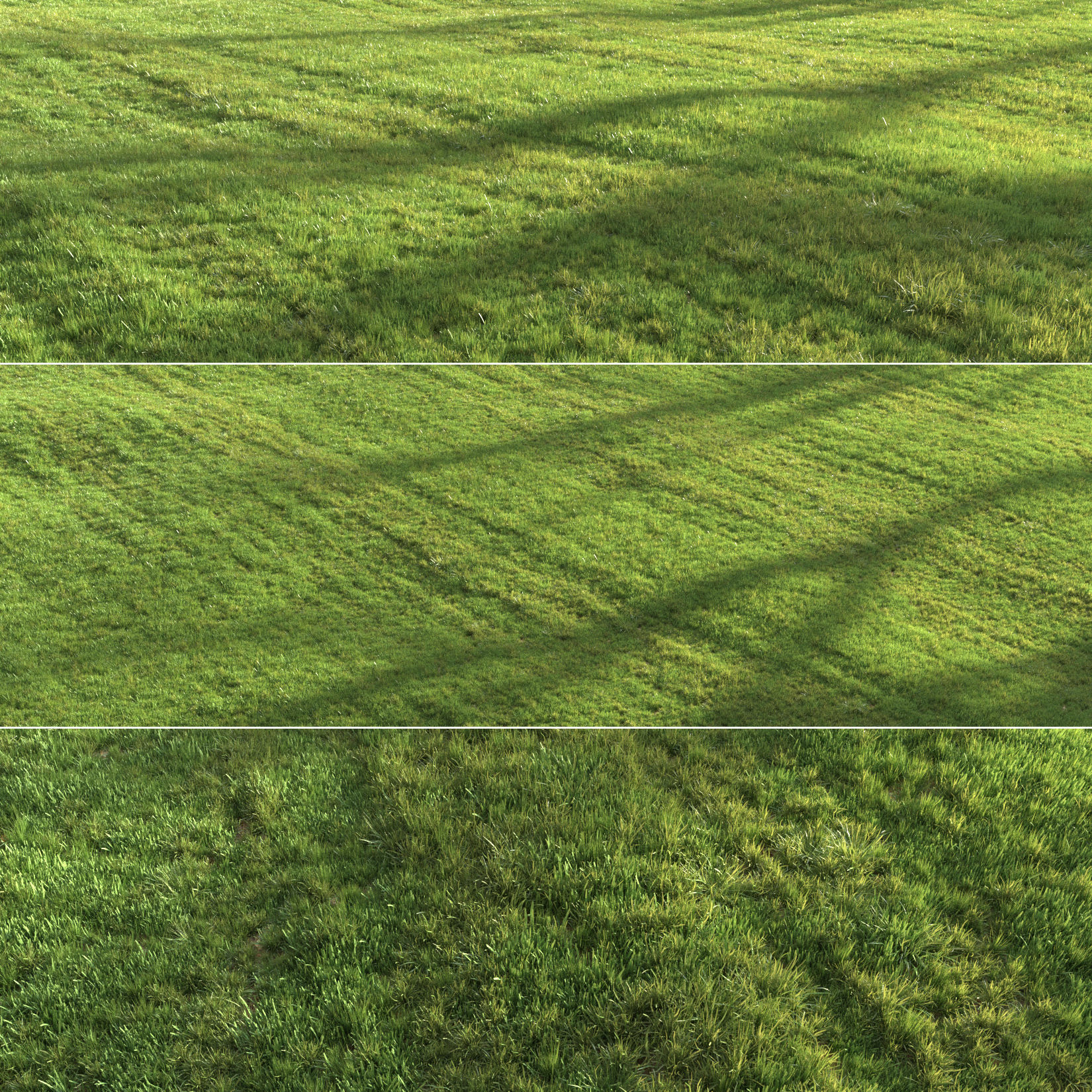 Summer grass 3D model_2