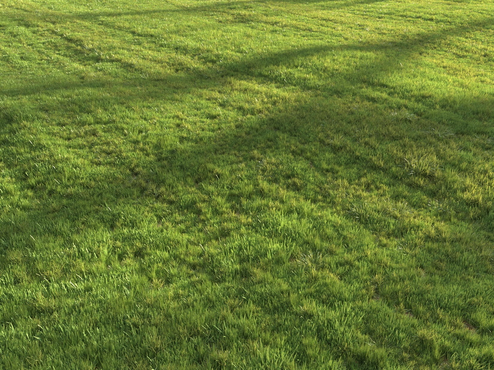 Summer grass 3D model_1