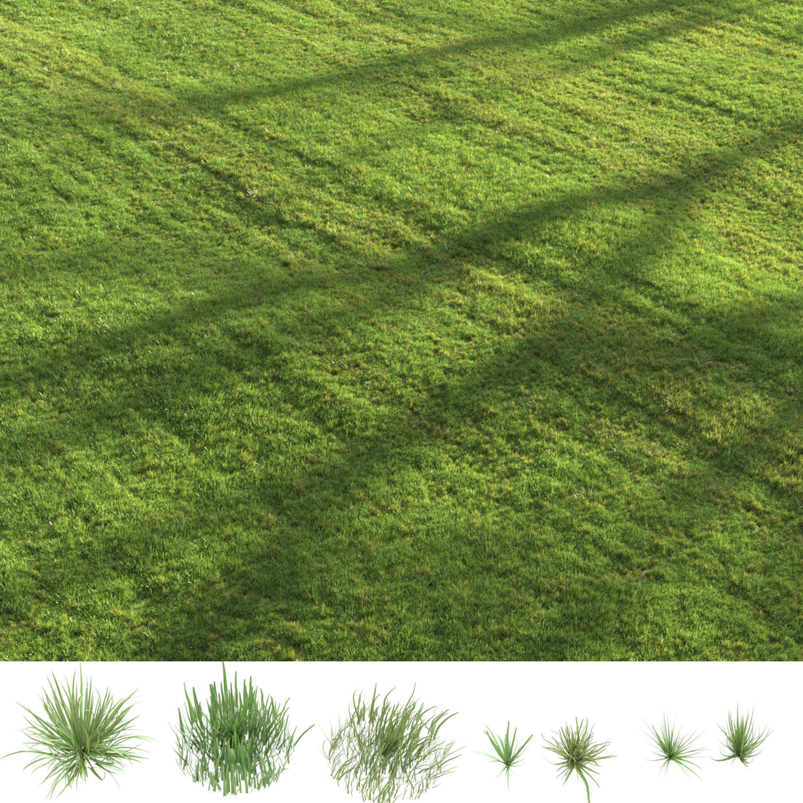 Summer grass 3D model_3