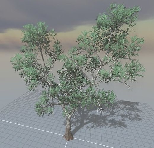 Tree Pack Volume 1 Low-poly 3D model