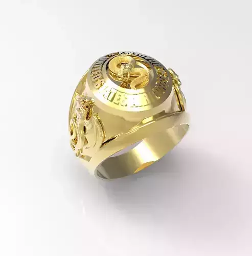 Random 100 Ring men best 3D print model