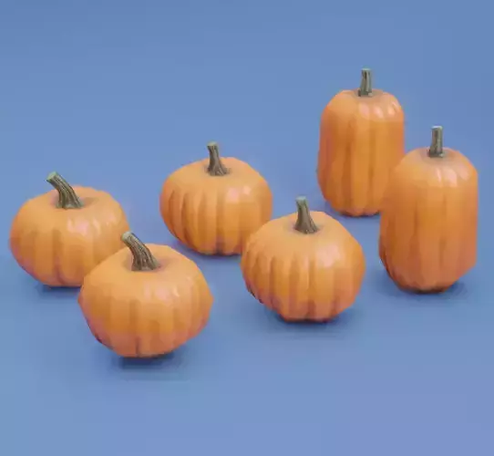 Pumpkin Set pumpkins