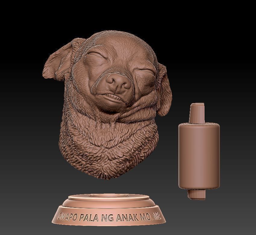 Gwapo pala ng anak mo 3D print model_1