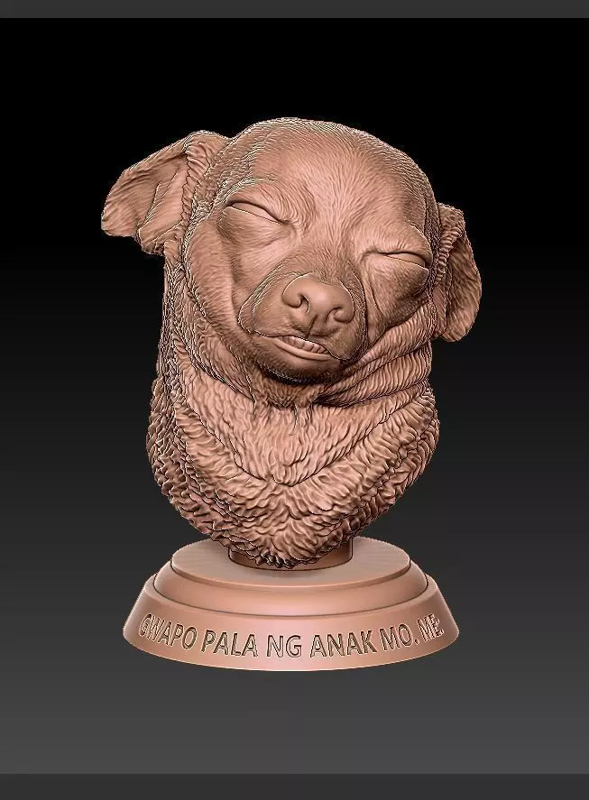 Gwapo pala ng anak mo 3D print model_0