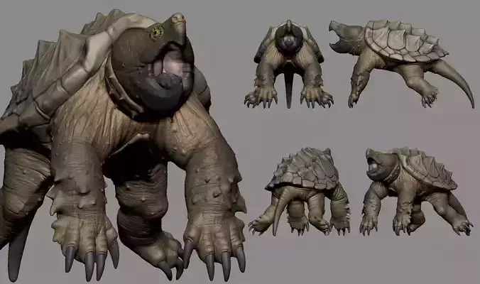 Alligator Snapping Turtle