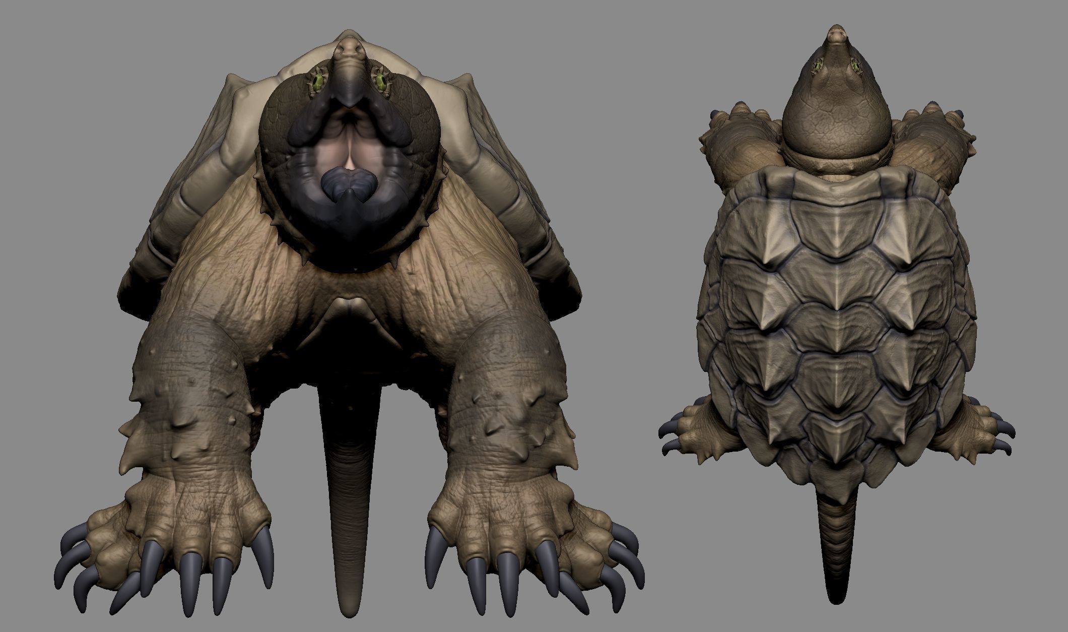 Alligator Snapping Turtle 3D print model_6