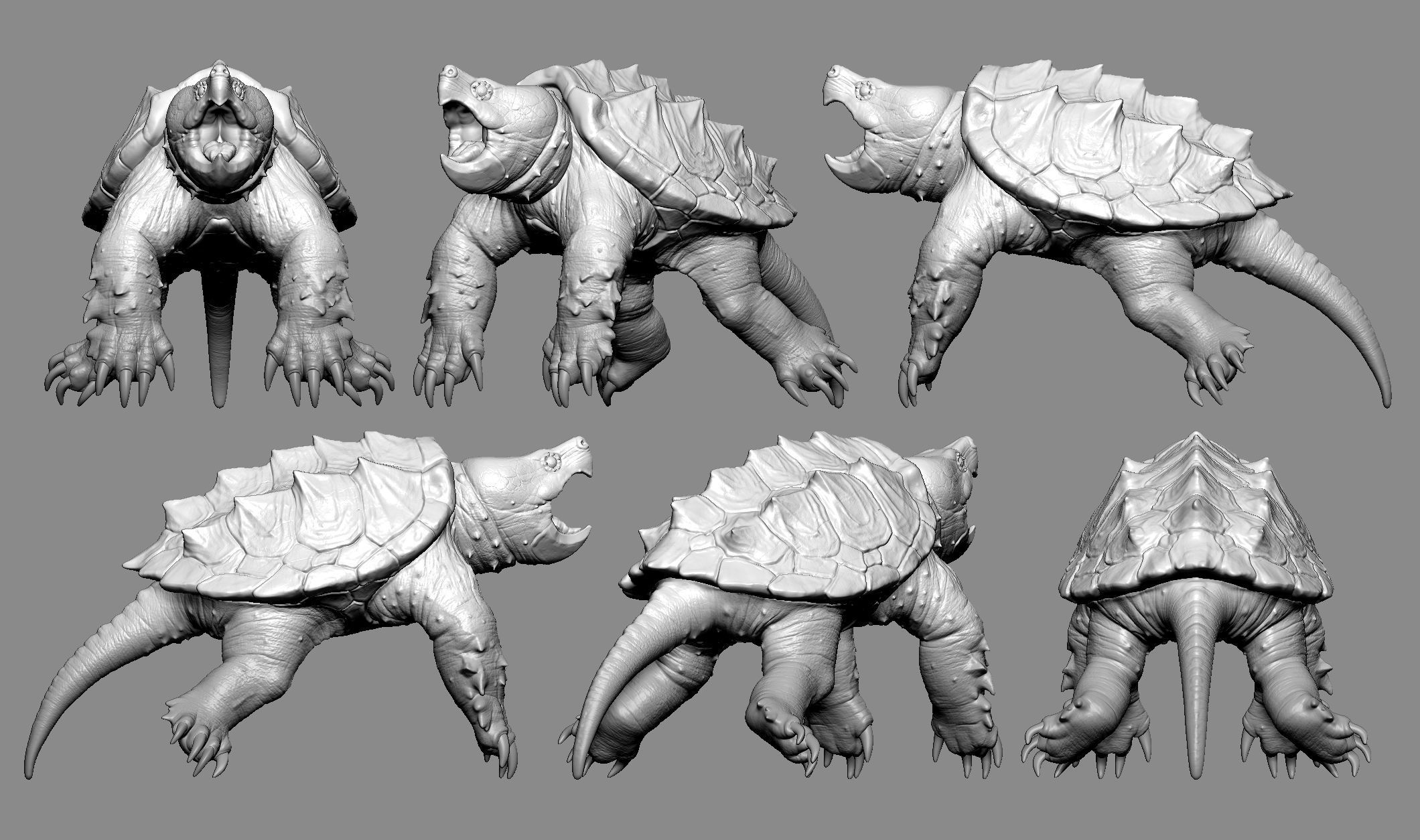 Alligator Snapping Turtle 3D print model_12