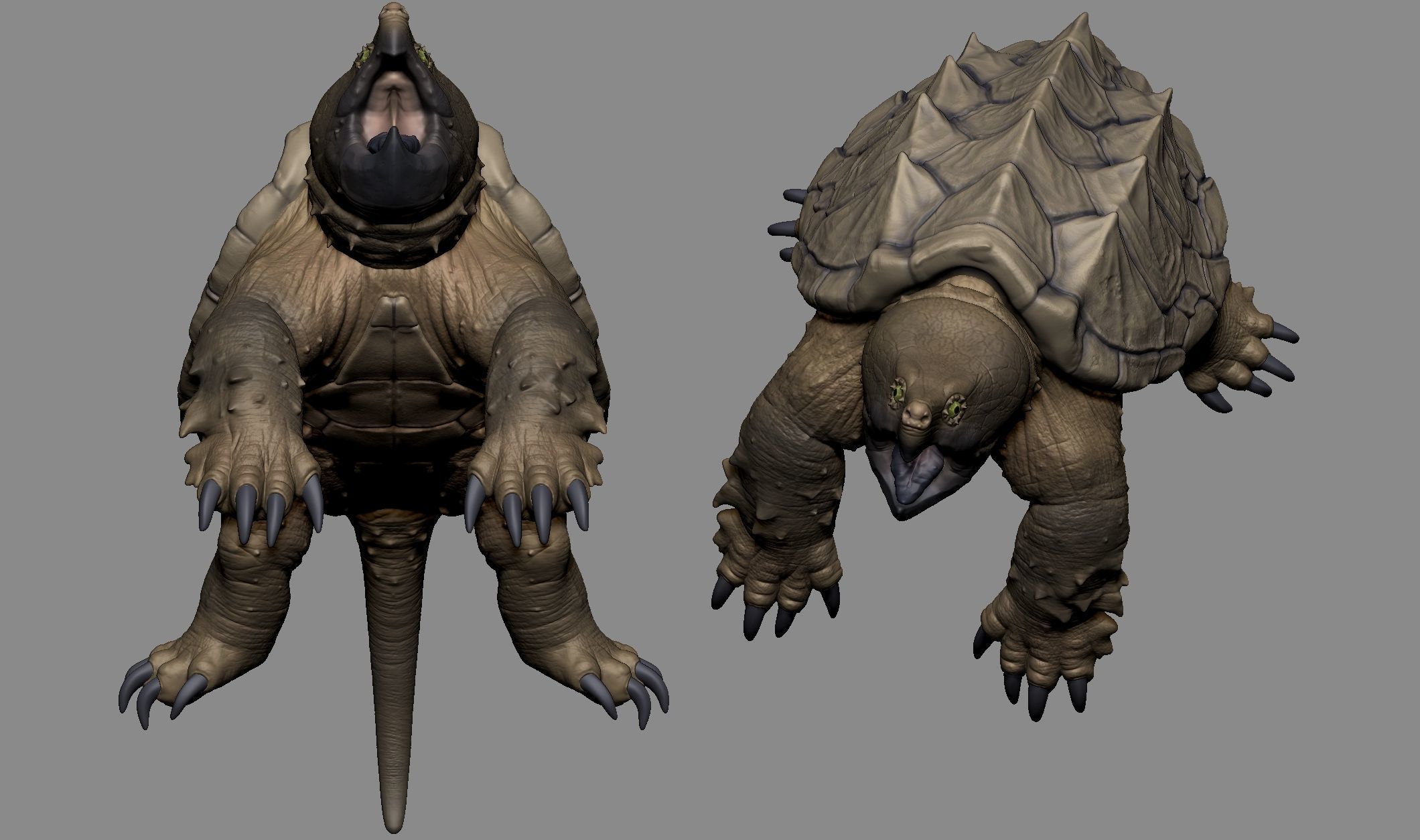 Alligator Snapping Turtle 3D print model_9