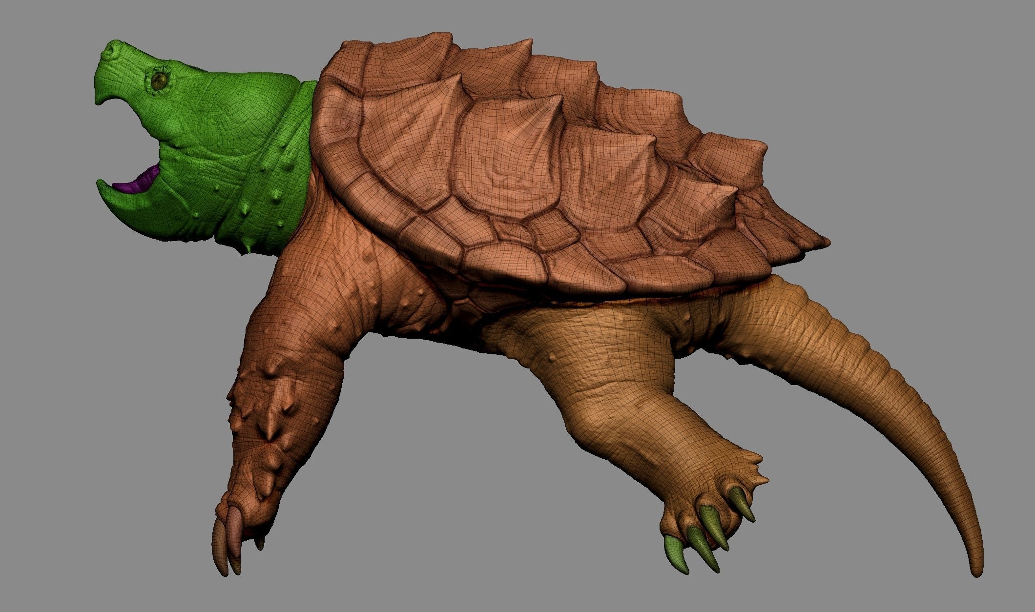 Alligator Snapping Turtle 3D print model_13