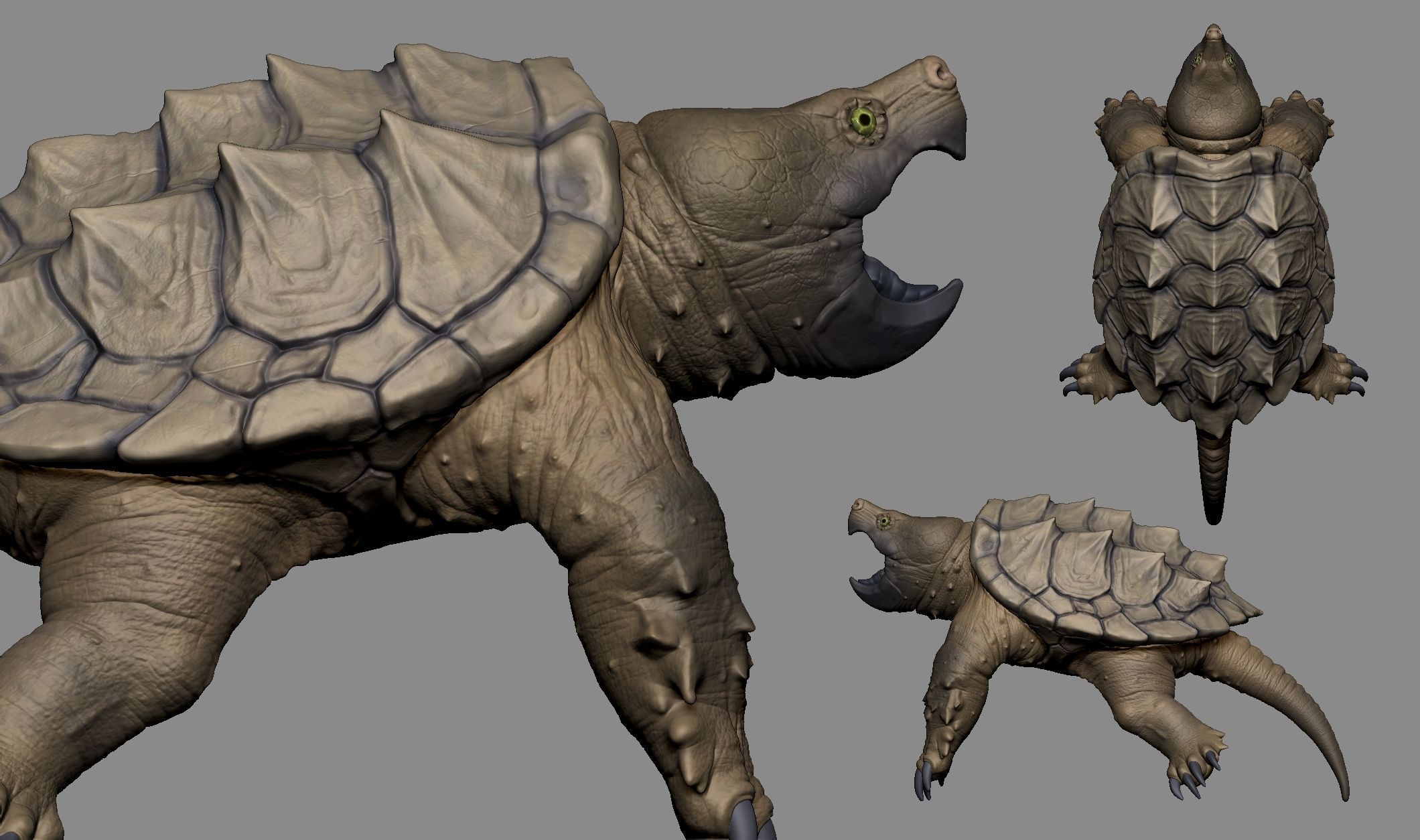 Alligator Snapping Turtle 3D print model_1