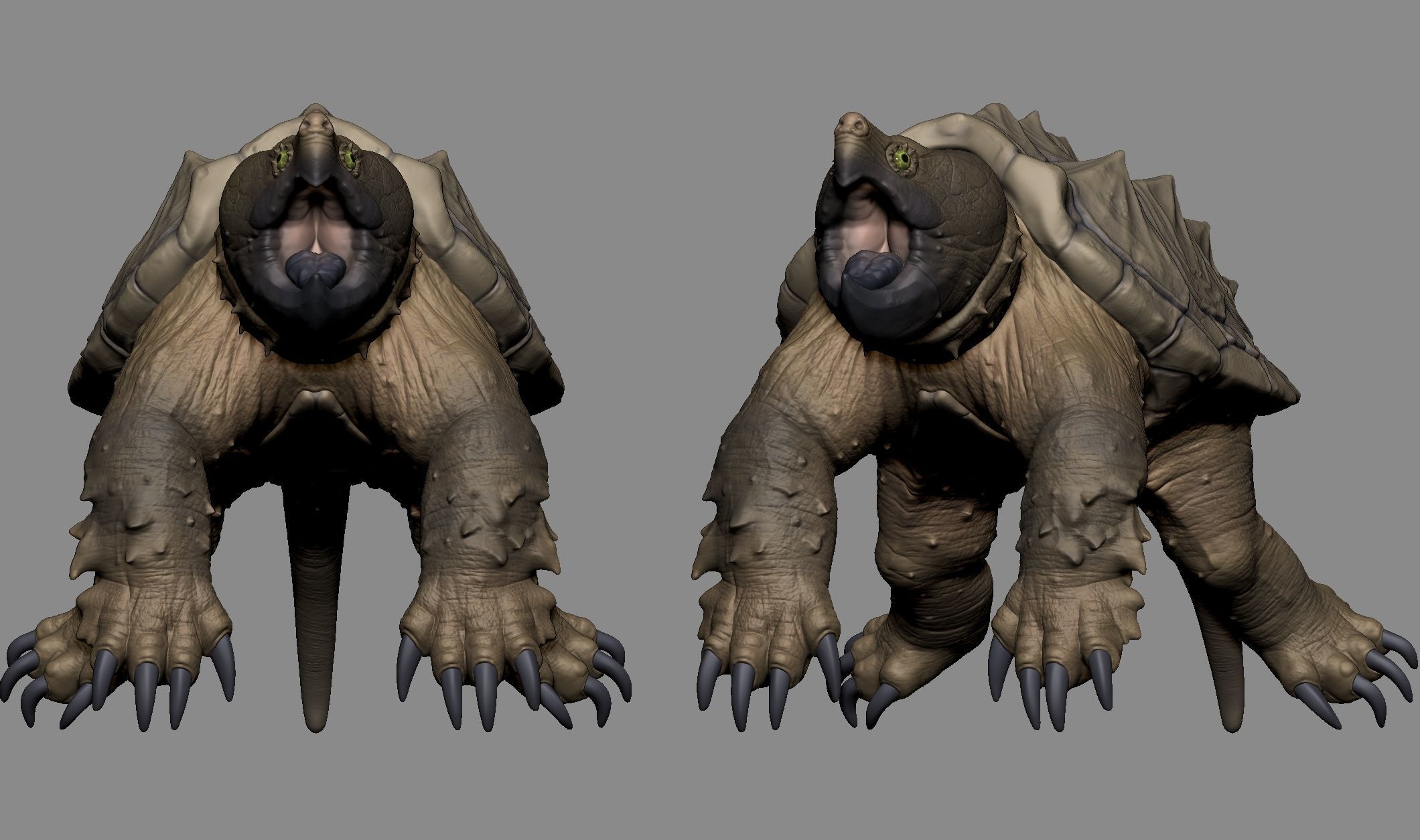 Alligator Snapping Turtle 3D print model_7