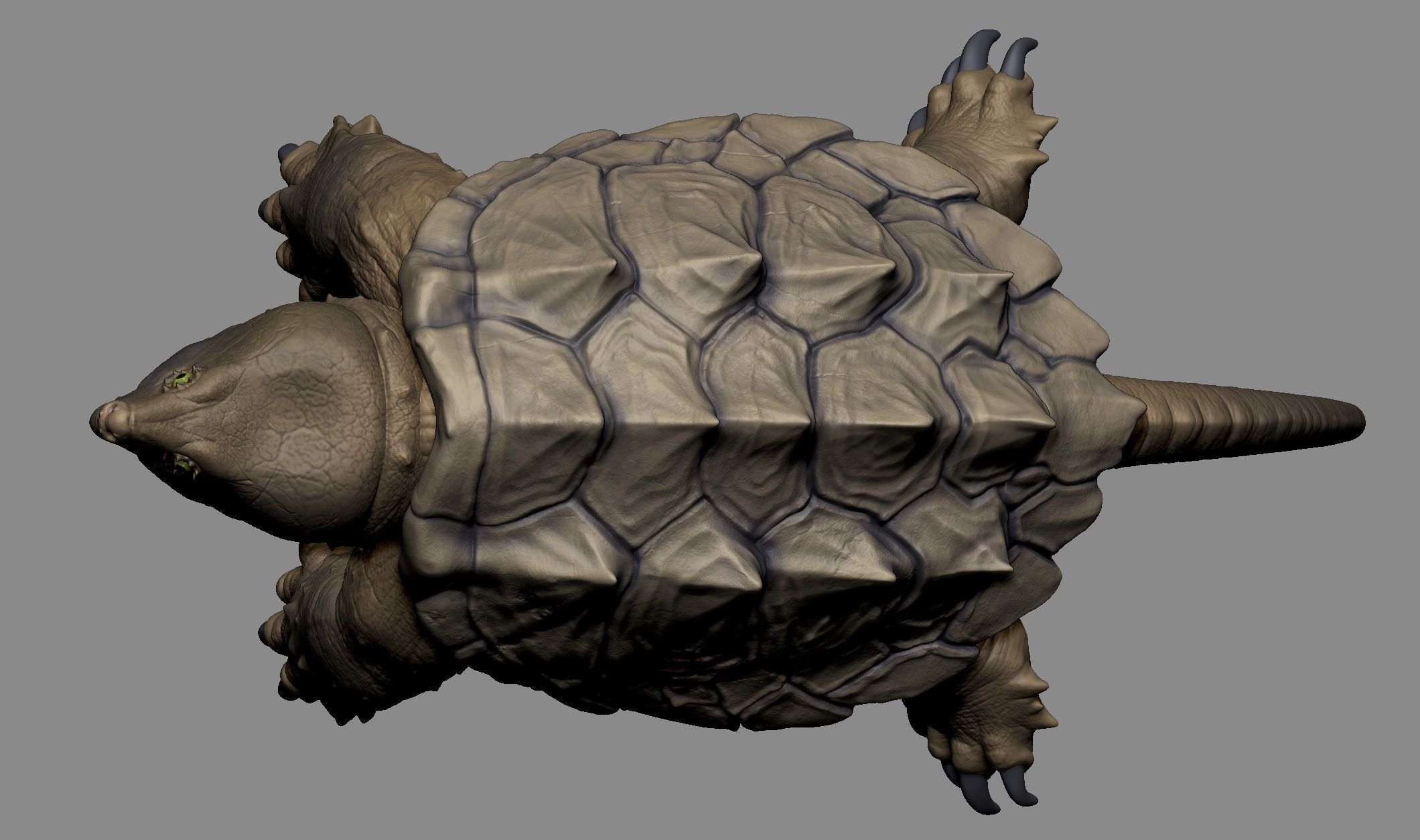 Alligator Snapping Turtle 3D print model_5