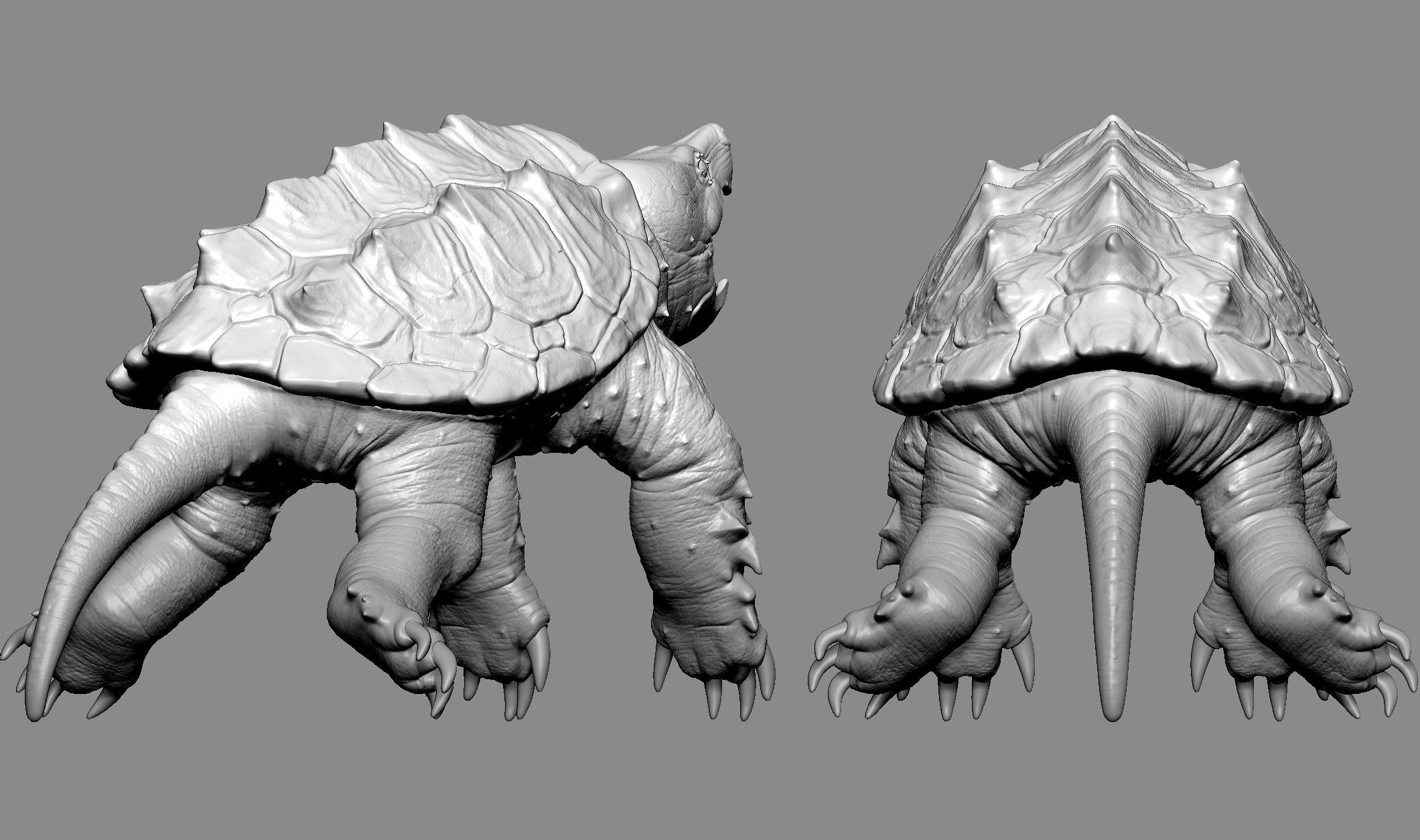 Alligator Snapping Turtle 3D print model_11